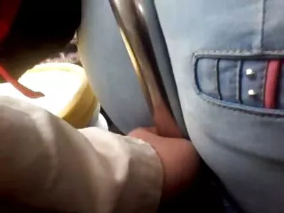 扎姆特尼克和加利亚